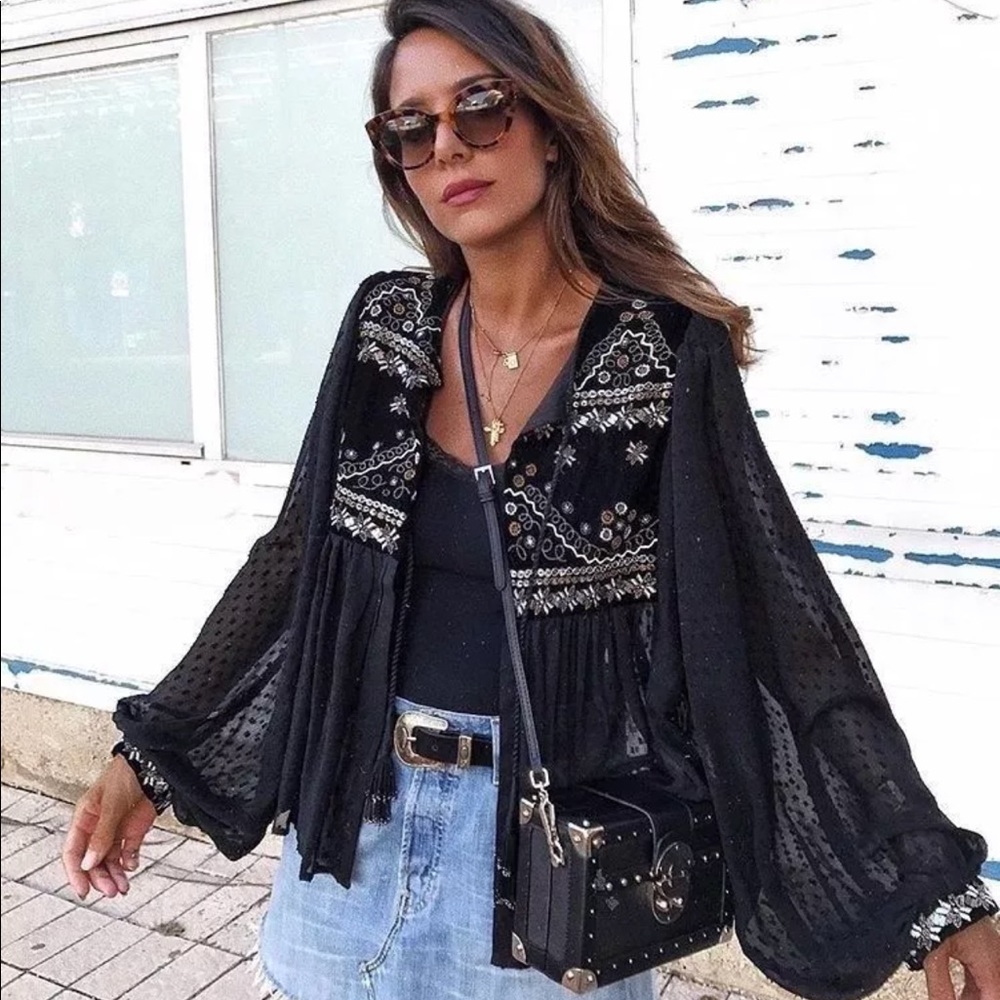 Zara embroidered velvet dotted mesh jacket NWT